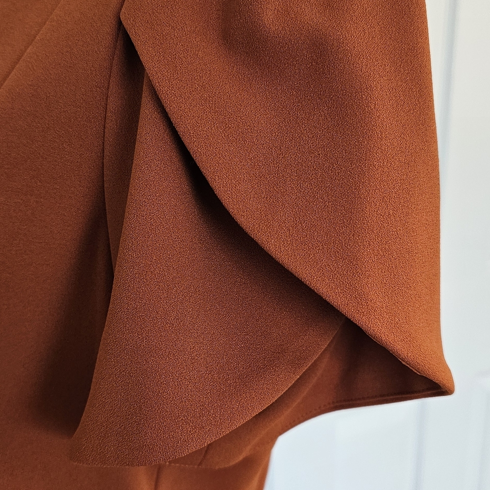 Calvin Klein Rust Midi Dress - Picture 5 of 9